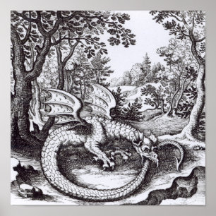 A Dragon in the Forest Poster
