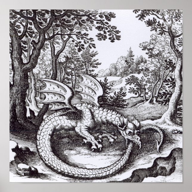 A Dragon in the Forest Poster (Front)