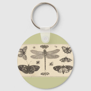 A dragonfly, ladybirds, and butterflies key ring