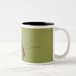 A Dragonfly rests momentarily on a dried weed Two-Tone Coffee Mug