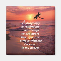A Dragonfly to Remind Me