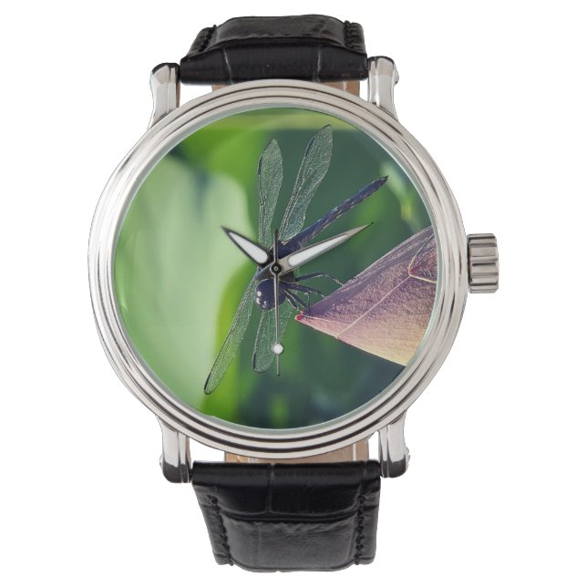 A dragonfly watch (Front)