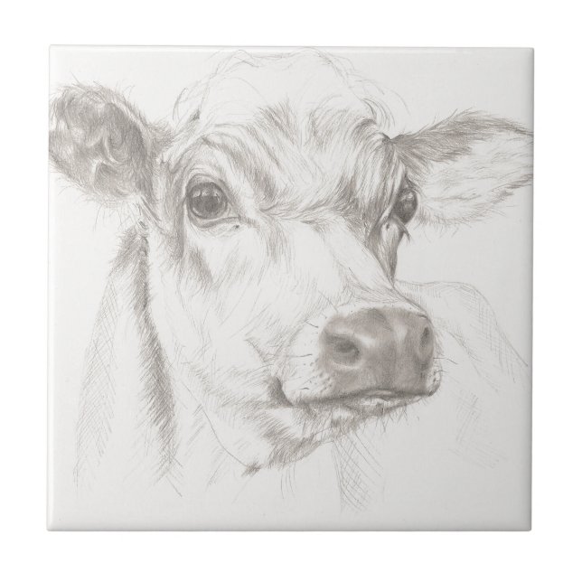 A drawing of a young cow tile (Front)