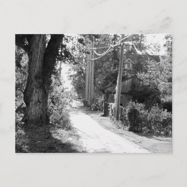 A Dream of Black and White Postcard (Front)