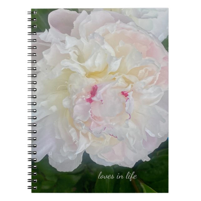 A Dreamy Blush Peony Notebook (Front)