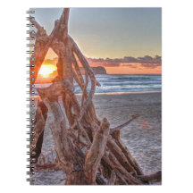 A Driftwood Sunrise