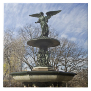 A dry winter Bethesda Fountain in Central Park Tile
