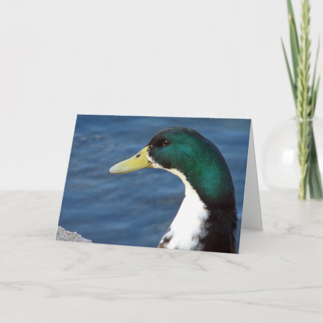 A Duck In The Park Card (Front)