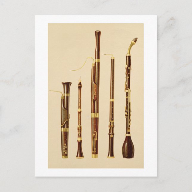 A dulcian, an oboe, a bassoon, an oboe da caccia a postcard (Front)
