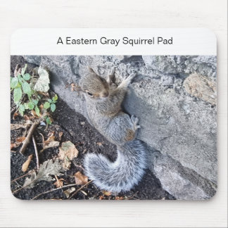 A Eastern Gray Squirrel Mousepad