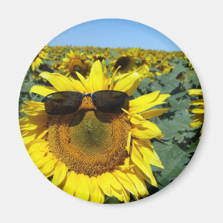 A Face in the Crowd Magnet