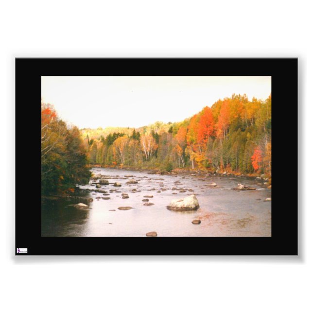 A Fall Stream Photo Print (Front)