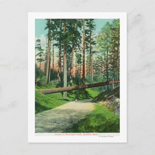 A Fallen Tree at Woodland Park Scene Postcard (Front)