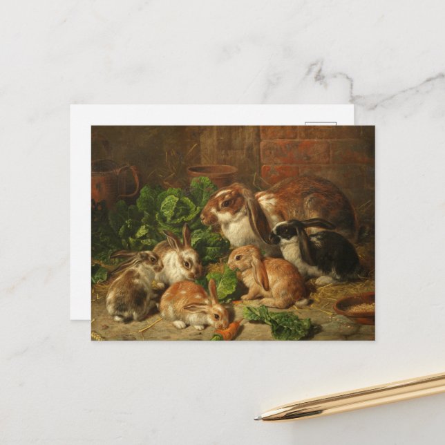 A Family of Rabbits by Alfred Richardson Barber Postcard (Front/Back In Situ)