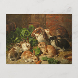 A Family of Rabbits by Alfred Richardson Barber Postcard