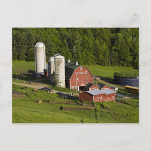 A farm in Barnet Centre, Vermont. Connecticut Postcard