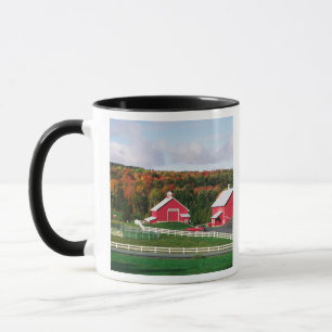 A farm in Vermont near Peacham. RELEASE Mug