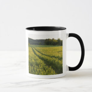 A farm road in Sabins Pasture in Montpelier, Mug