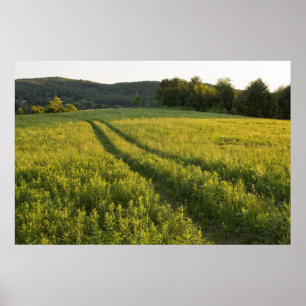 A farm road in Sabins Pasture in Montpelier, Poster