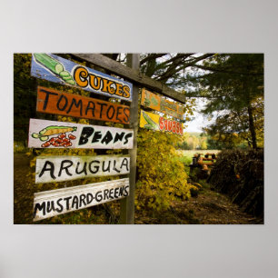 A farm stand in Holderness, New Hampshire. Poster