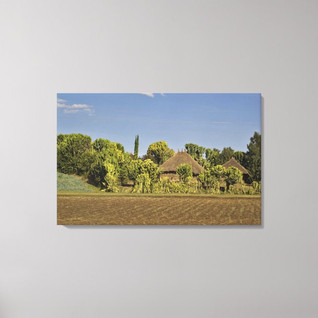 A farmed field in front of thatched roof houses canvas print (Front)