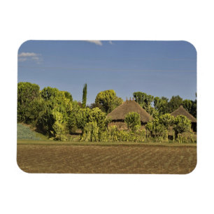 A farmed field in front of thatched roof houses magnet
