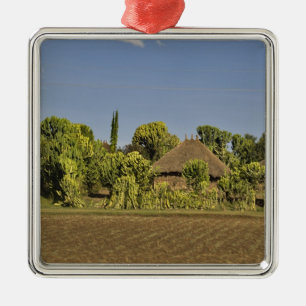 A farmed field in front of thatched roof houses metal tree decoration