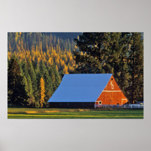 A Farmed red barn built in 1911 near Troy Poster