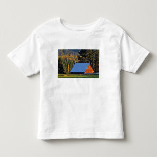 A Farmed red barn built in 1911 near Troy Toddler T-Shirt