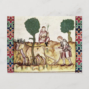 A farmer teaching his son to plough a field postcard