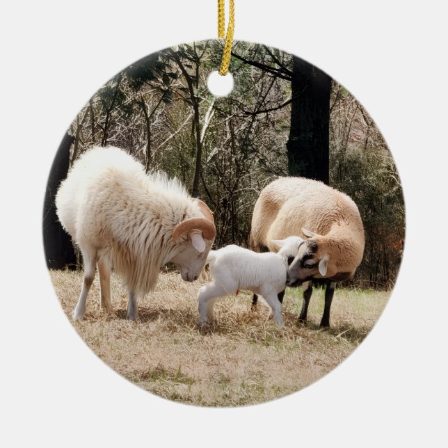 A Farmhouse Christmas Ceramic Tree Decoration (Front)