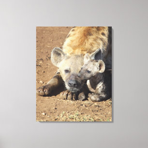 A female Spotted Hyena and her cub, Kruger Canvas Print