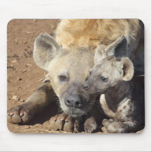 A female Spotted Hyena and her cub, Kruger Mouse Mat