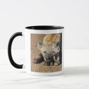 A female Spotted Hyena and her cub, Kruger Mug
