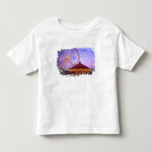 A ferris wheel and carousel at the Navy Pier in Toddler T-Shirt