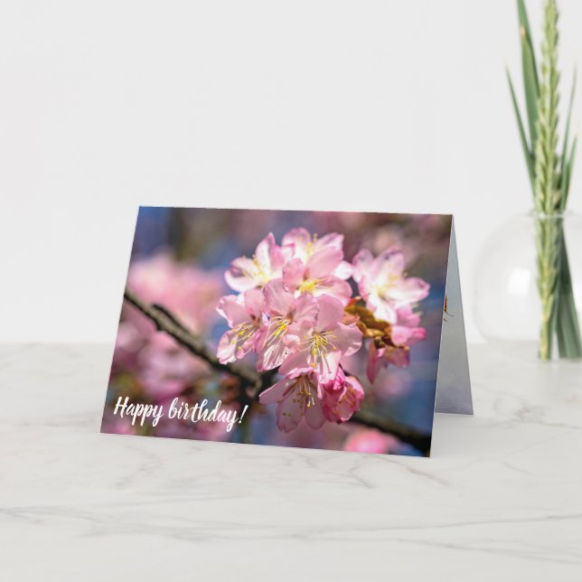 A Festival Of Pink Sakura Flowers In Spring Card (Front)