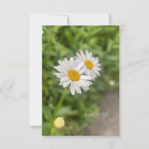A Few Daisies Card