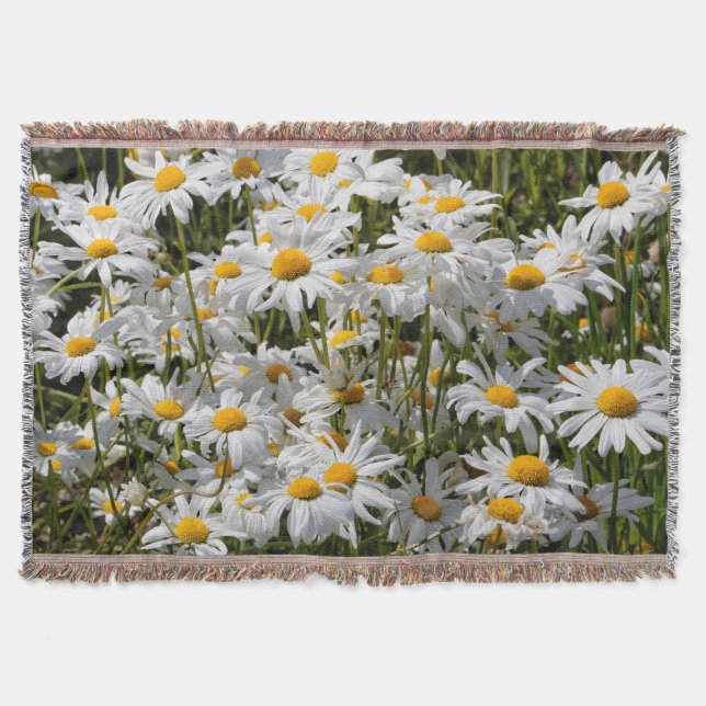 A Field of Oxeye Daisies on a Sunny Summer Day Throw Blanket (Front)
