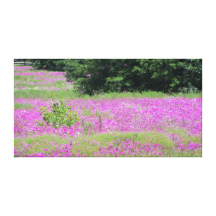 A field of pink spring wildflowers canvas print