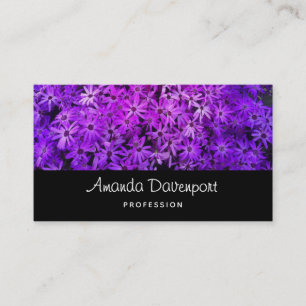 A field of Purple and Pink Daisies Business Card