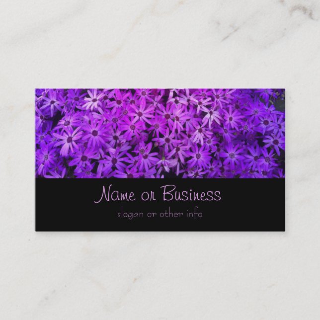 A field of Purple and Pink Daisies Business Card (Front)
