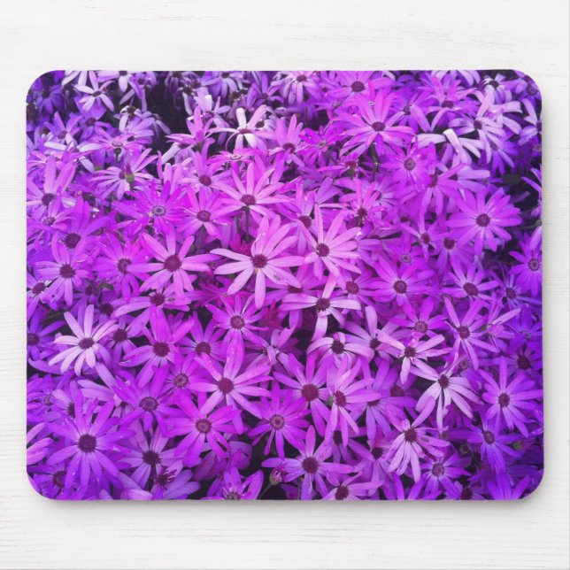 A field of Purple and Pink Daisies Mouse Mat (Front)