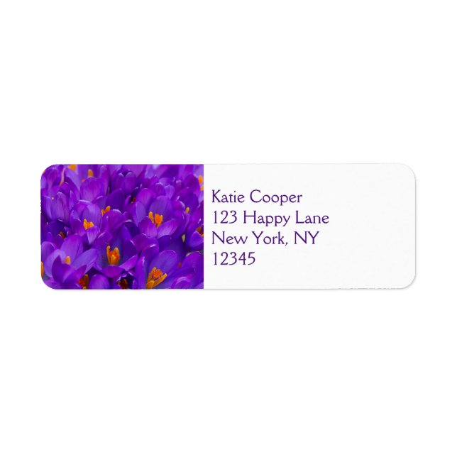 A Field of Purple Crocuses (Front)