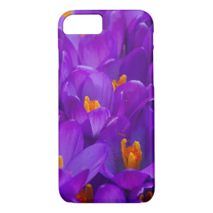 A Field of Purple Crocuses iPhone 8/7 Case