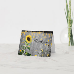 A Field of Sunflowers in Black & White Thank You Card