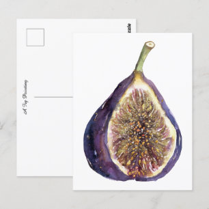 A Fig Painting Postcard