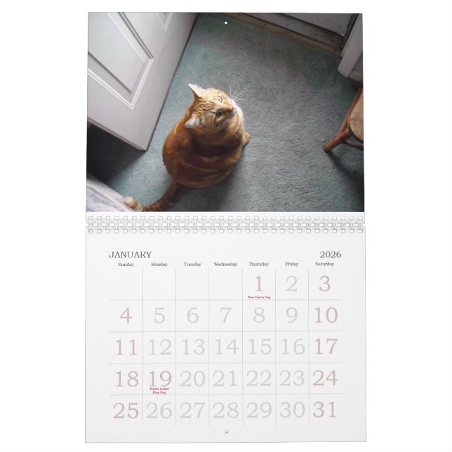 A Fine Fandango ~ A Year of Louie Calendar (Jan 2026)