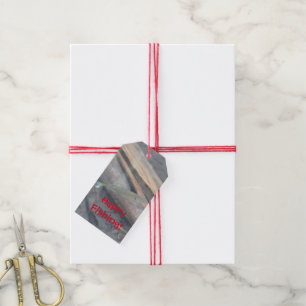 A Fish Birthday Gift Tag