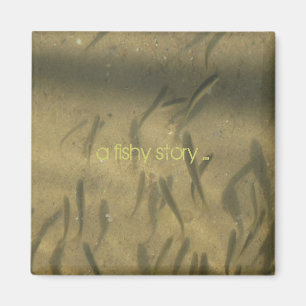 a fishy story ... magnet