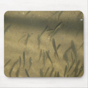 a fishy story mouse mat